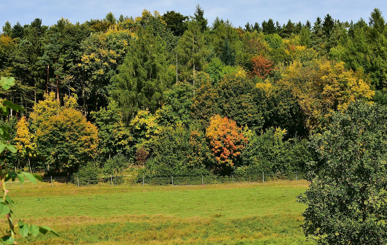 Plan cadastral à Joliette - Beausoleil Melançon Brousseau à Rawdon