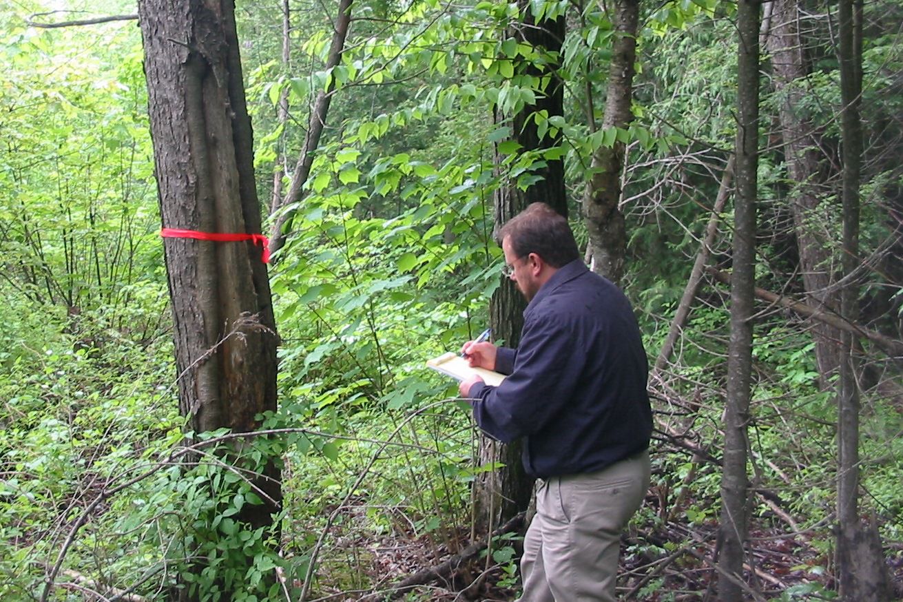 Compagnie d'arpentage dans Lanaudière - Beausoleil Mélançon Brousseau Inc. à Rawdon